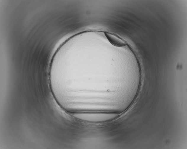 X0000114991248200911161506