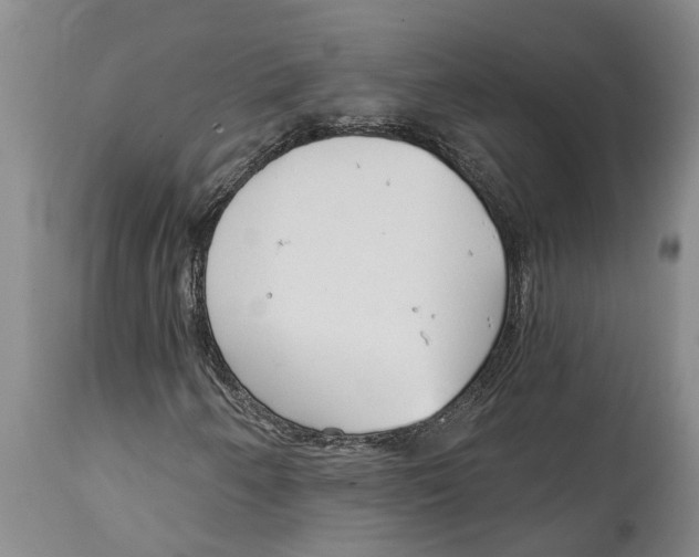 X0000114991250200911161505