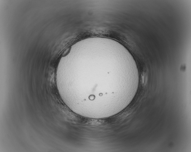 X0000114991251200911161505