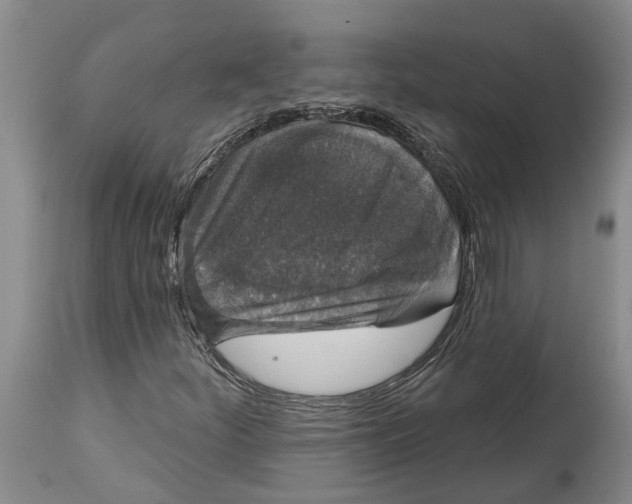 X0000114991252200911161505