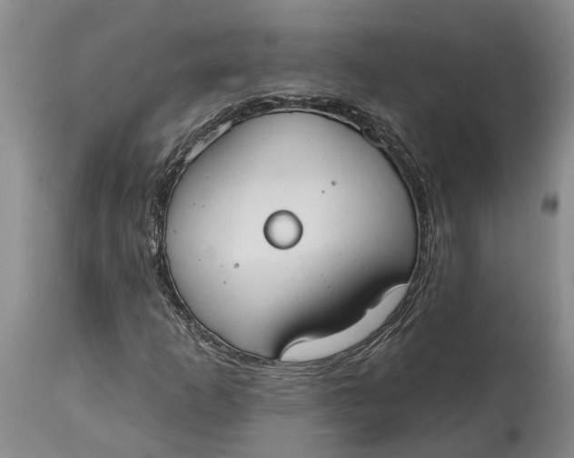 X0000114991253200911161505