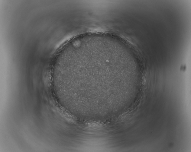 X0000114991254200911161505