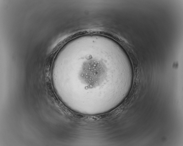 X0000114991255200911161505