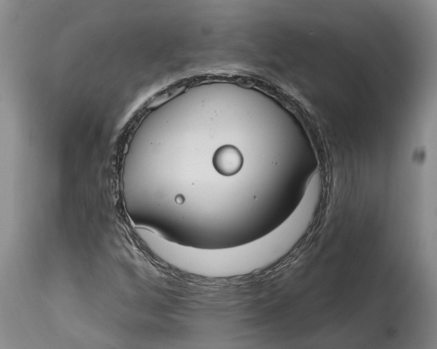 X0000114991256200911161505