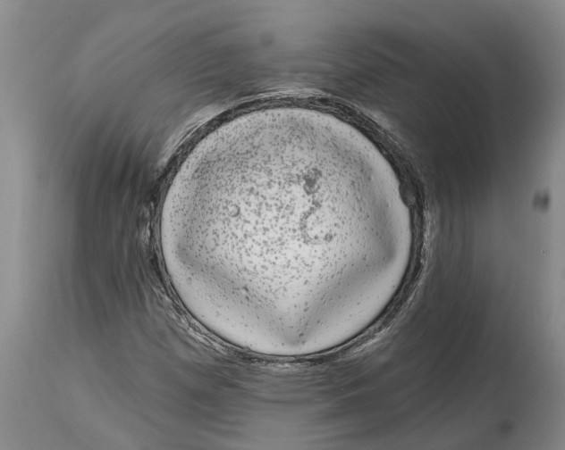 X0000114991257200911161505