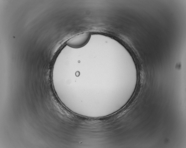 X0000114991260200911161505