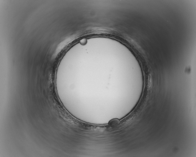 X0000114991261200911161505