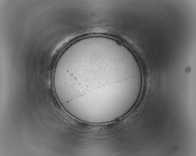 X0000114991262200911161505