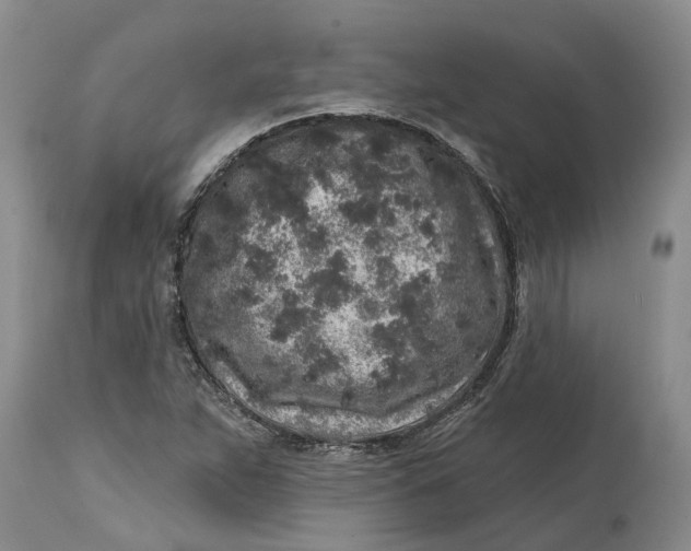 X0000114991263200911161505