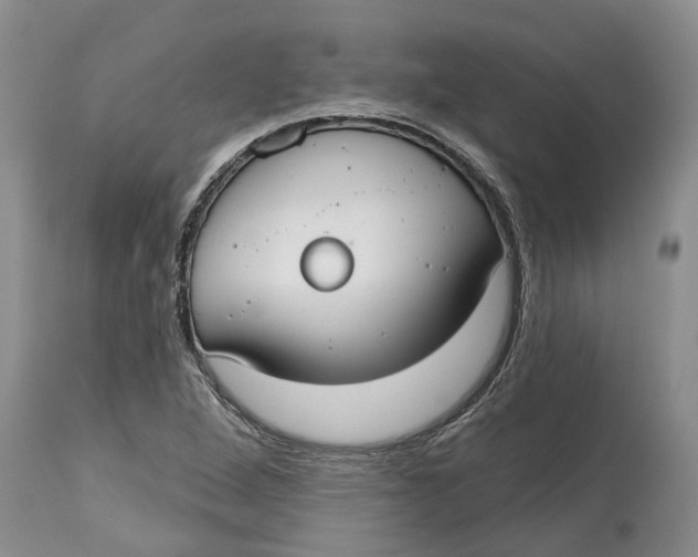 X0000114991264200911161505