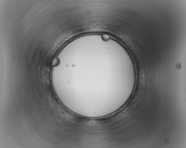 X0000114991265200911161505