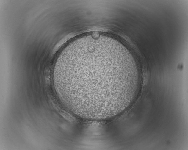 X0000114991266200911161505