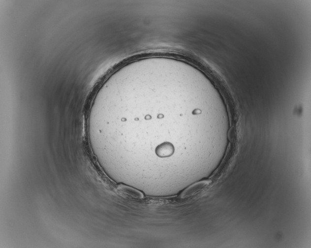 X0000114991267200911161505