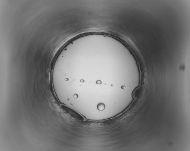 X0000114991268200911161505