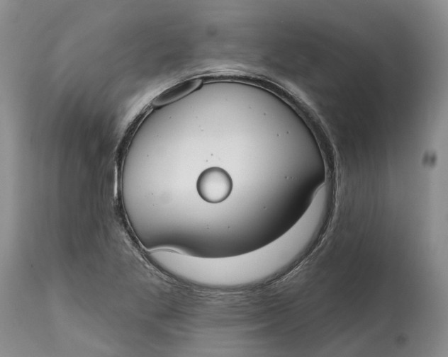 X0000114991269200911161505