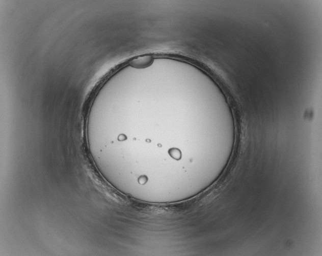 X0000114991270200911161505