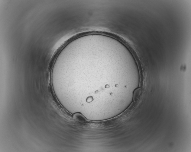 X0000114991271200911161505