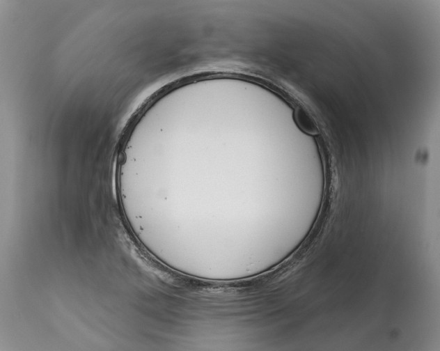 X0000114991272200911161505