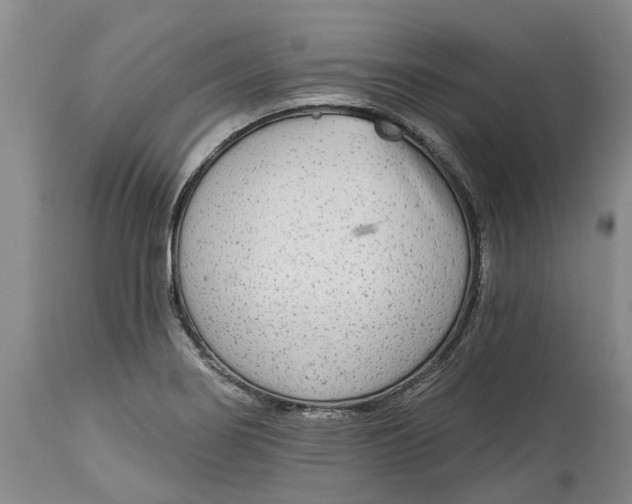 X0000114991274200911161505