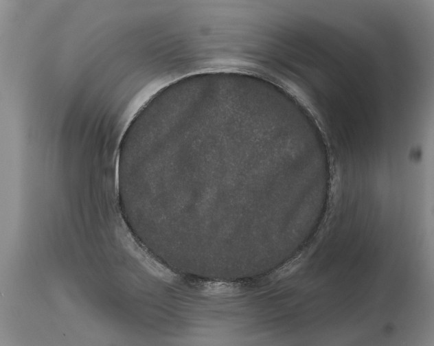 X0000114991275200911161505