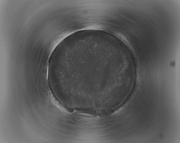 X0000114991276200911161505