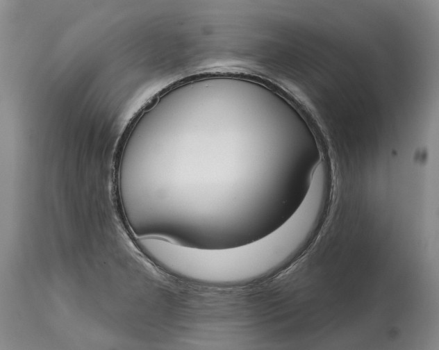 X0000114991277200911161505