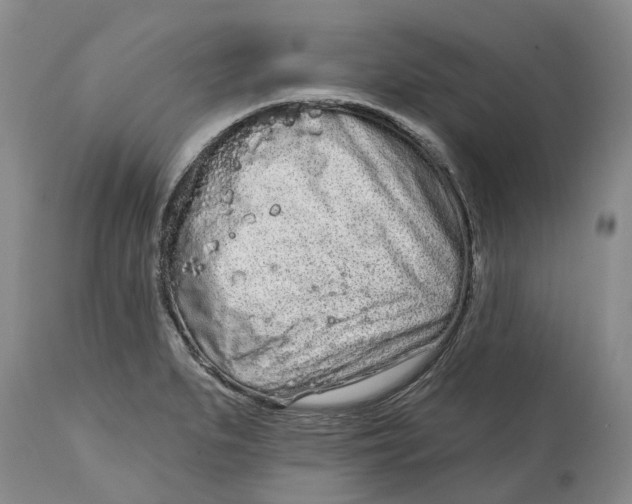 X0000114991279200911161505