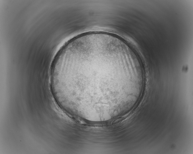 X0000114991280200911161505