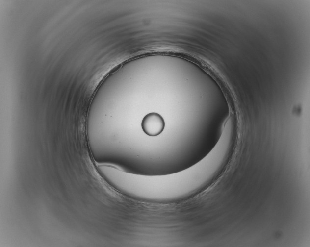 X0000114991281200911161505