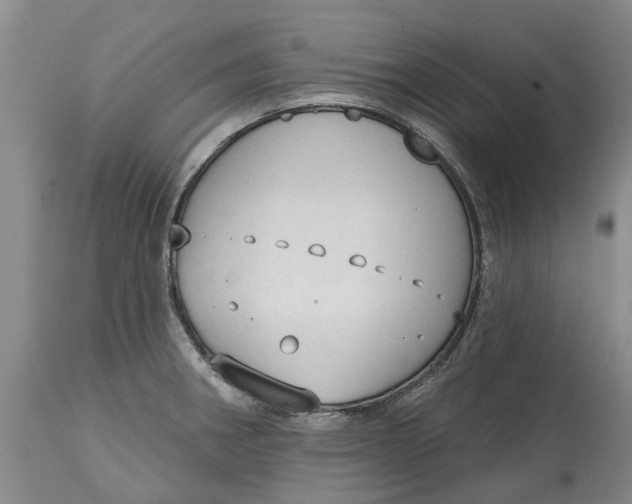 X0000114991282200911161505