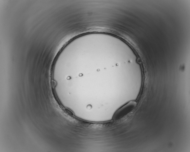 X0000114991283200911161505