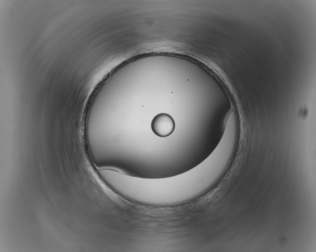 X0000114991285200911161505