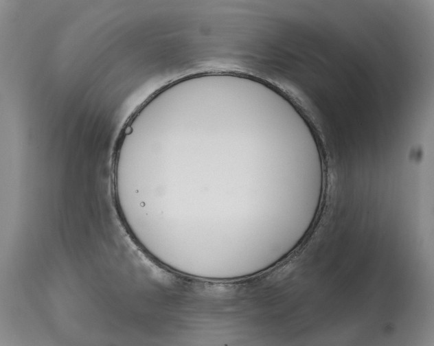 X0000114991286200911161505