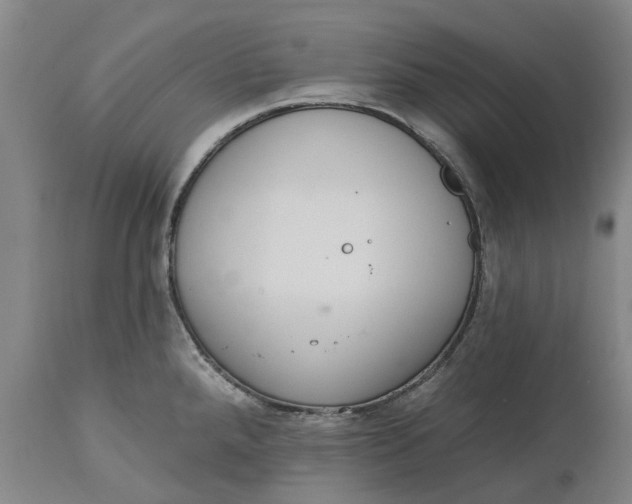 X0000114991288200911161505