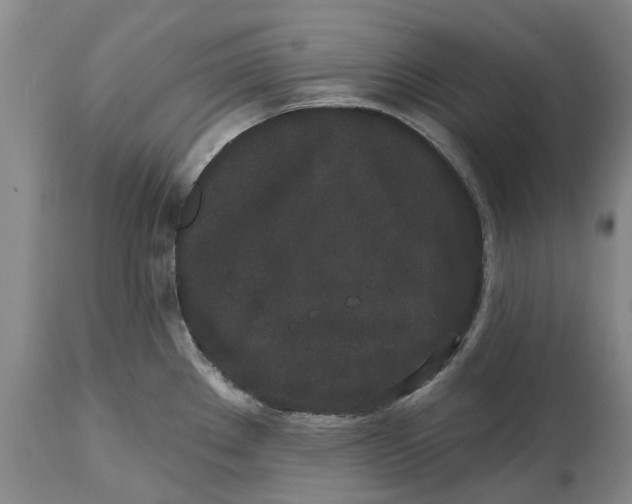 X0000114991289200911161505