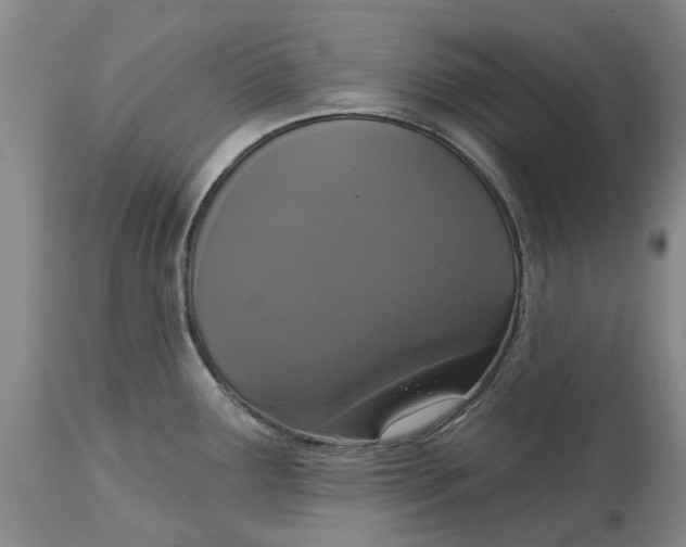 X0000114991291200911161505