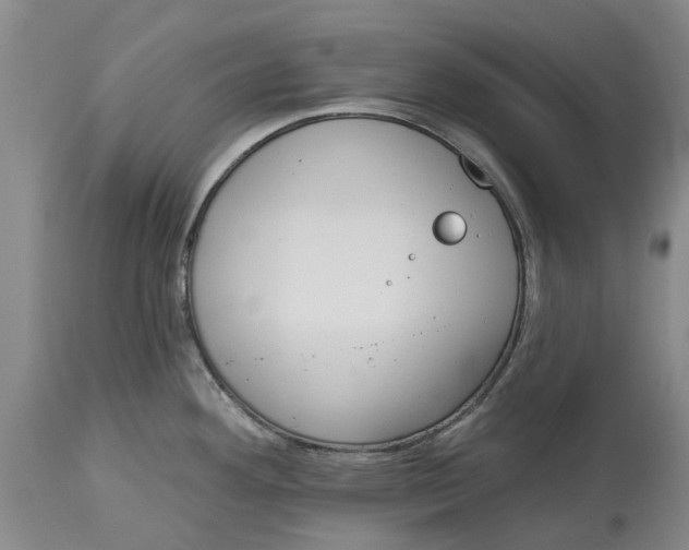 X0000114991292200911161505