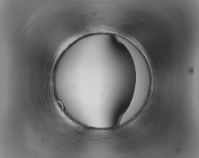 X0000114991293200911161505