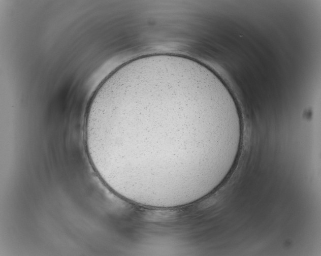 X0000114991294200911161505