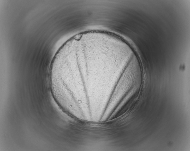 X0000114991295200911161505