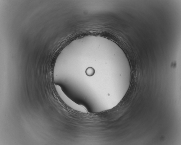 X0000114991298200911161504