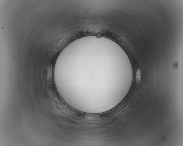 X0000114991299200911161504