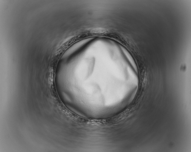 X0000114991301200911161504