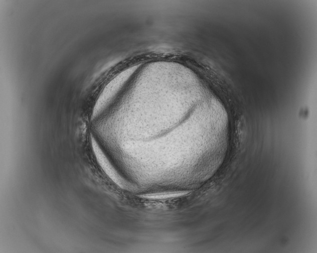 X0000114991302200911161504