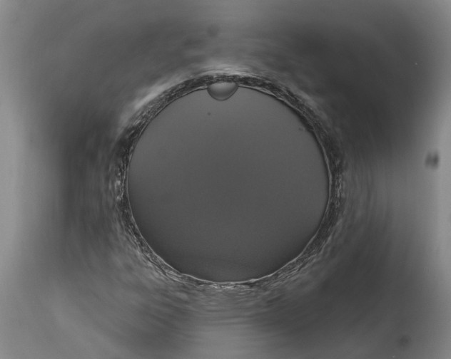 X0000114991303200911161504