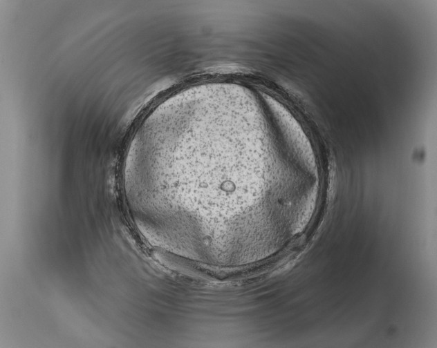 X0000114991305200911161504