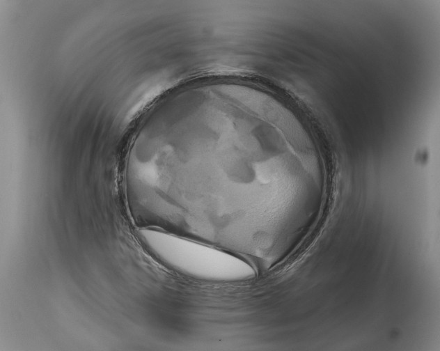 X0000114991306200911161504