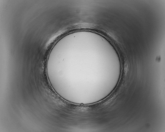 X0000114991309200911161504