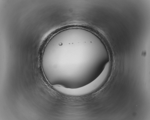 X0000114991310200911161504