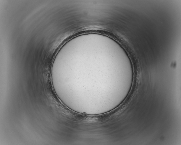 X0000114991313200911161504